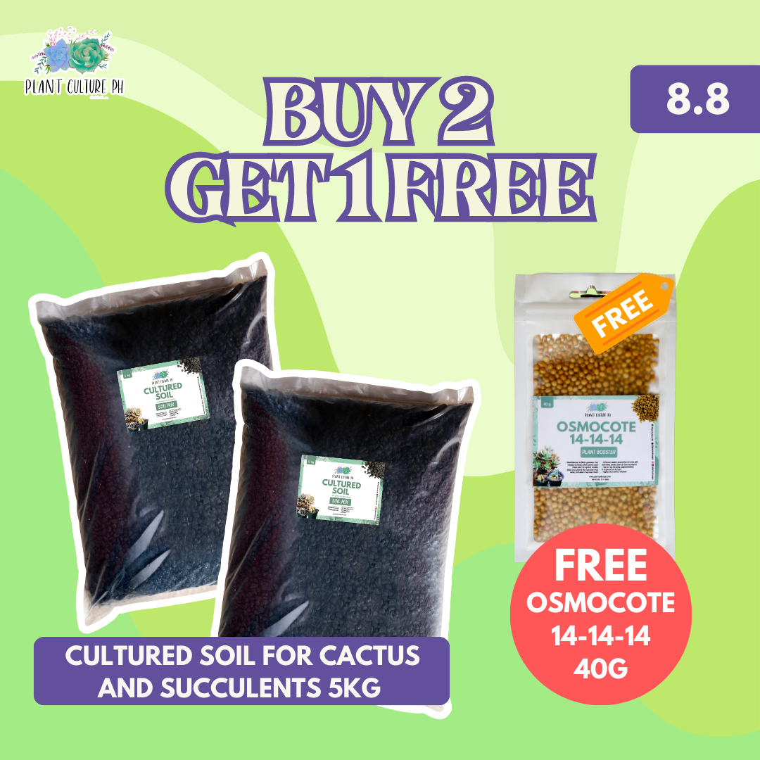 Plant Culture PH Buy 2 Cultured Soil for Cactus and Succulents 5kg Get 1 FREE Osmocote 14-14-14 40g