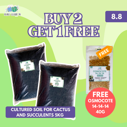 Plant Culture PH Buy 2 Cultured Soil for Cactus and Succulents 5kg Get 1 FREE Osmocote 14-14-14 40g