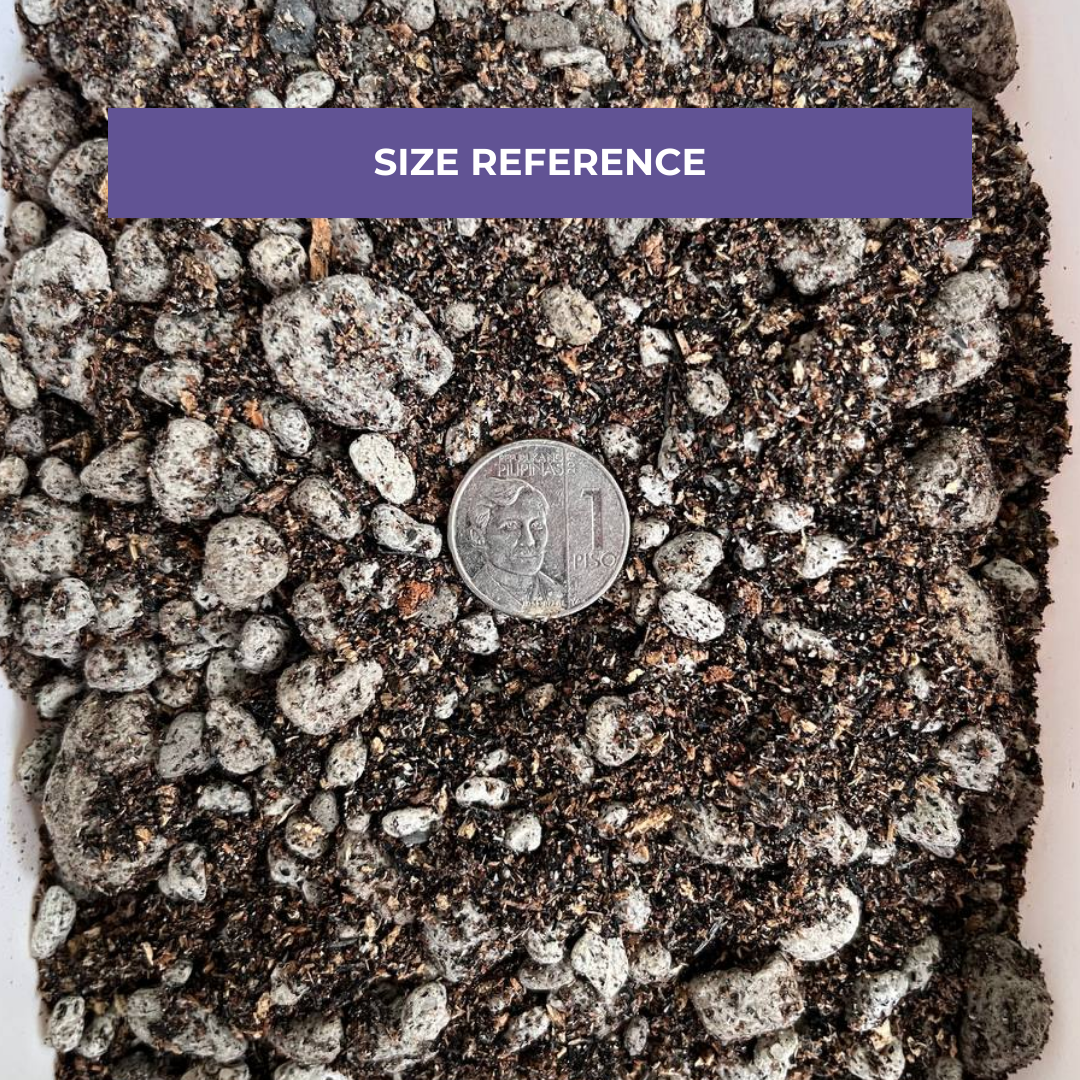 Cultured Soil Monstera Soilless Mix 1L & 5L | Ready-to-Use Soil Mix