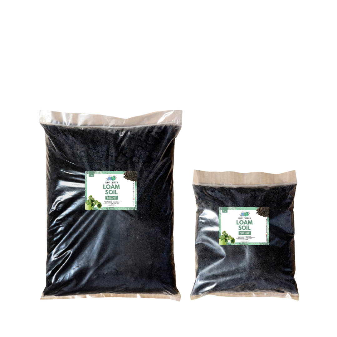 Premium Loam Soil Best for Landscaping, Vegetable, and Fruit-Bearing Plants | 20kg, 5kg, 1kg