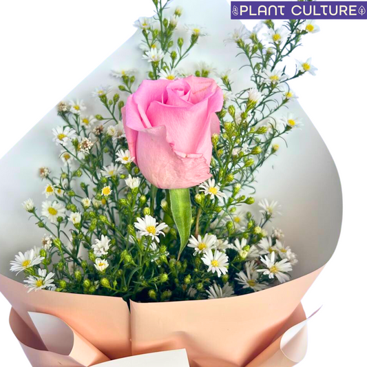 Rabiya Fresh Pink Rose Bouquet Single Stem