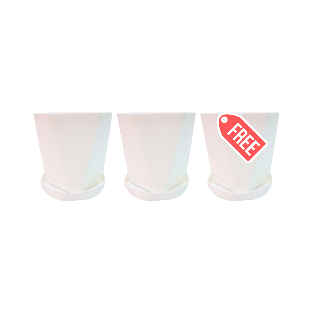 (BUY 2 GET 1 FREE) Nordic Style Planter with Catch Plate | Plastic Pots with Plant Saucer