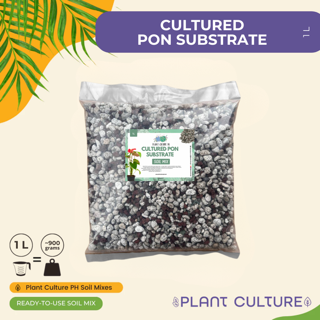 Cultured Pon Substrate 1L & 5L | Premium Mineral Growing Medium