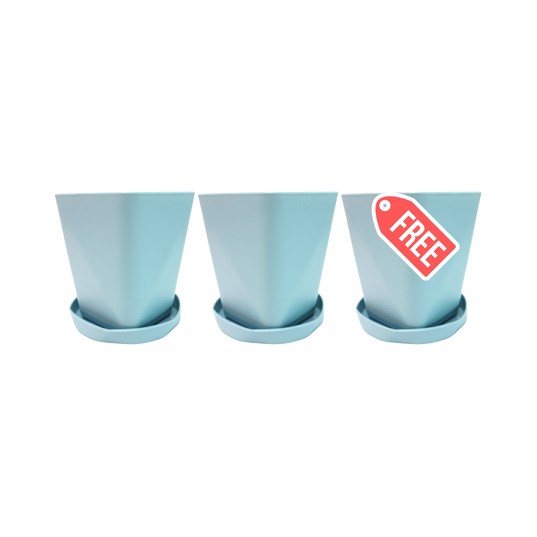 (BUY 2 GET 1 FREE) Nordic Style Planter with Catch Plate | Plastic Pots with Plant Saucer