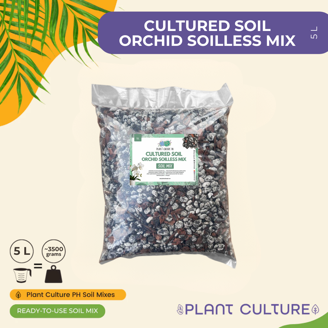 Cultured Soil Orchid Soilless Mix 1L & 5L | Ready-to-Use Soil Mix