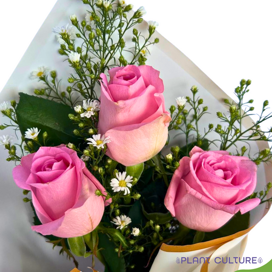 Beatrice Fresh Imported Pink Rose Bouquet Trio