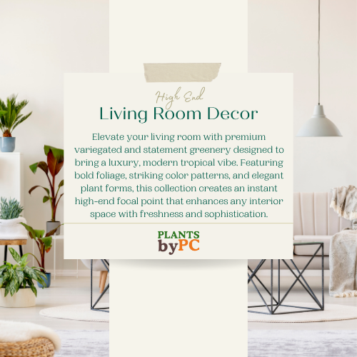 High-End Living Room Decor | Variegated & Statement Greenery