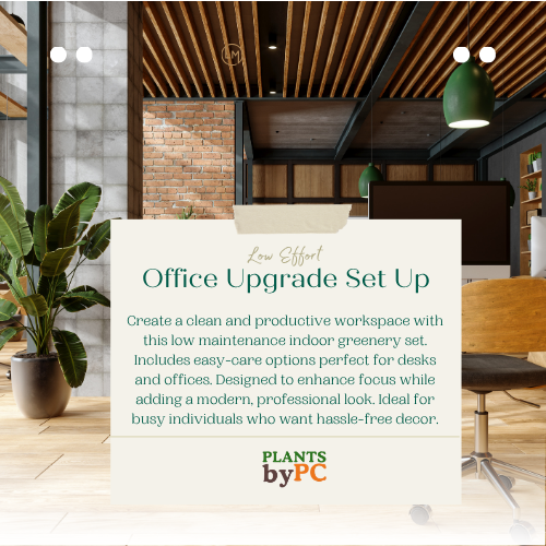 Office Upgrade Set Up | Low Effort Indoor Set