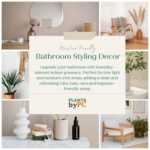 Moisture Friendly Indoor Set | Bathroom Styling Collection