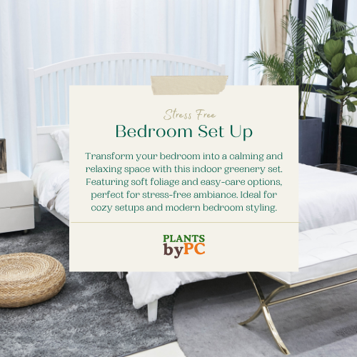 Stress-Free Bedroom Setup | Easy Care Indoor Greens