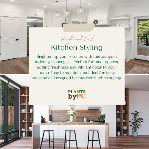 Bright & Fresh Kitchen Styling | Easy Indoor Greens