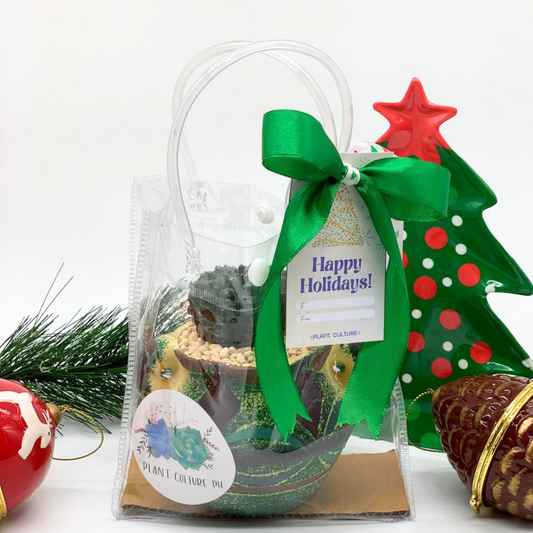 Christmas Pot of Joy