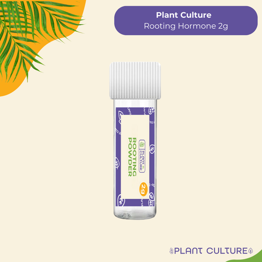 Plant Culture Rooting Powder Ornamentals, Vegetables, Flowering, Fruit-bearing, Succulents, Cactus