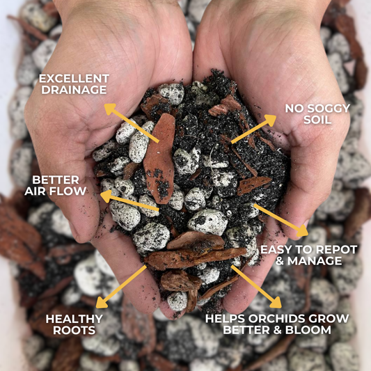 Cultured Soil Orchid Soilless Mix 1L & 5L | Ready-to-Use Soil Mix