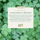 Lucky Indoor Collection | Wealth & Balance Setup