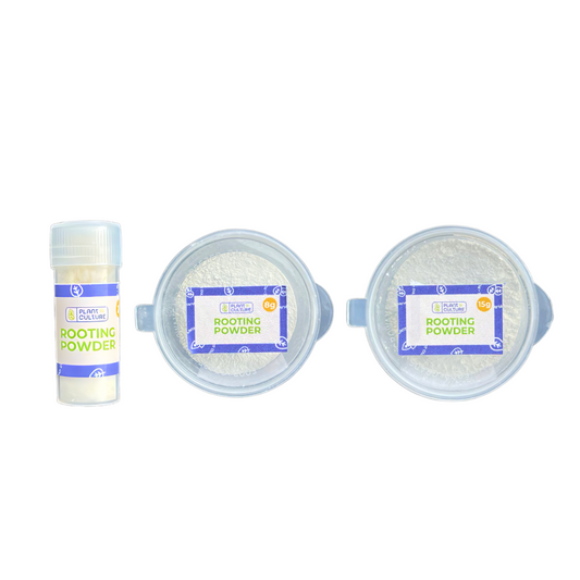 Plant Culture Rooting Powder Ornamentals, Vegetables, Flowering, Fruit-bearing, Succulents, Cactus
