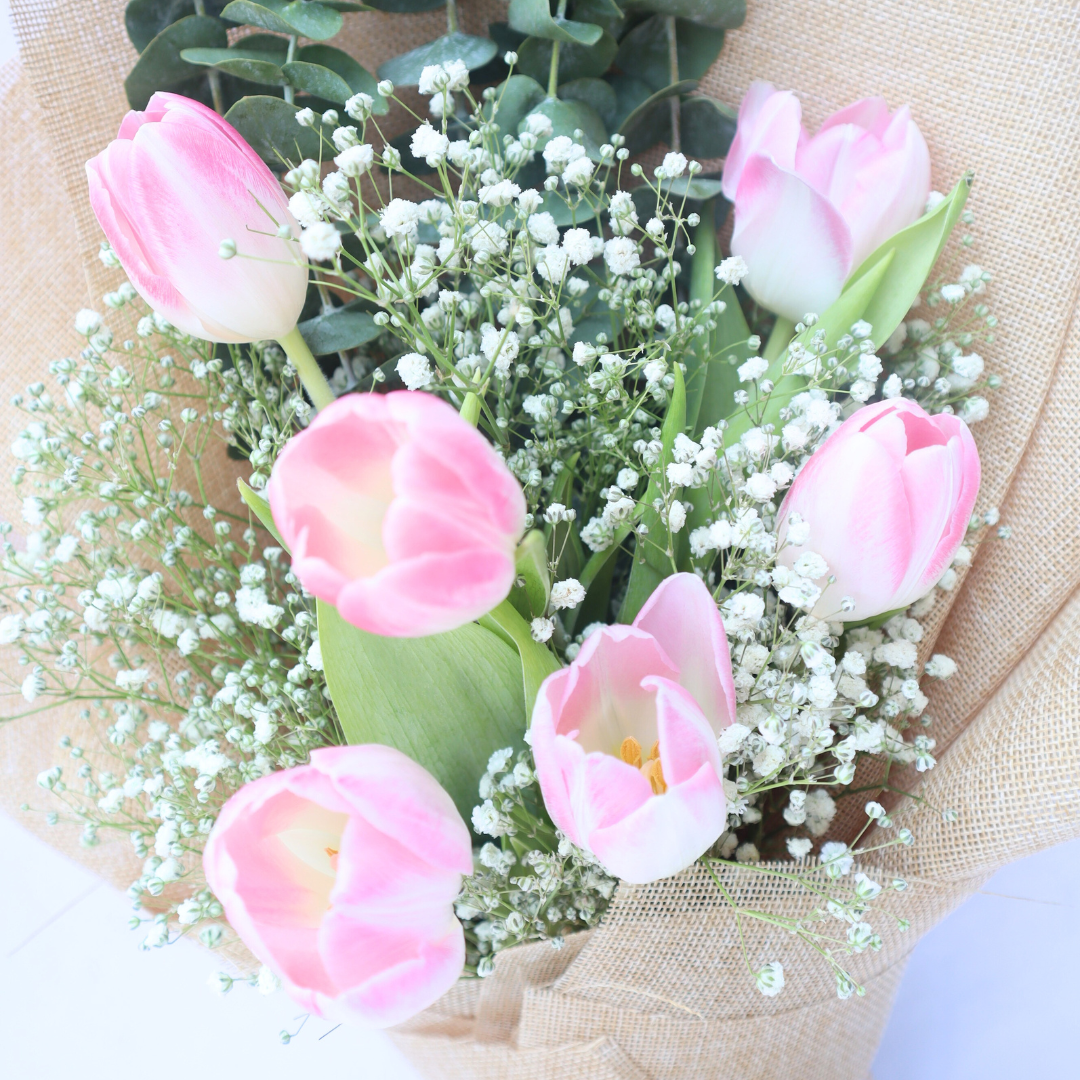 Sweet Blush Fresh Pink Tulip Bouquet Imported Flowers 6pcs