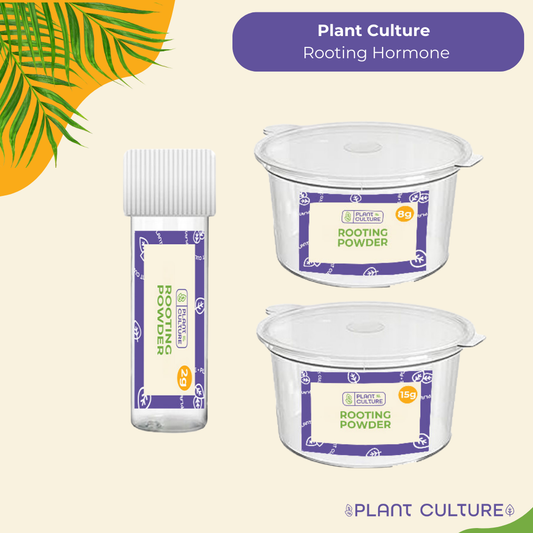 Plant Culture Rooting Powder Ornamentals, Vegetables, Flowering, Fruit-bearing, Succulents, Cactus