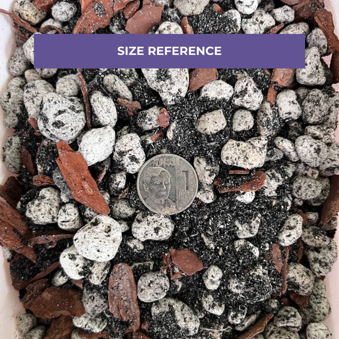 Cultured Soil Orchid Soilless Mix 1L & 5L | Ready-to-Use Soil Mix