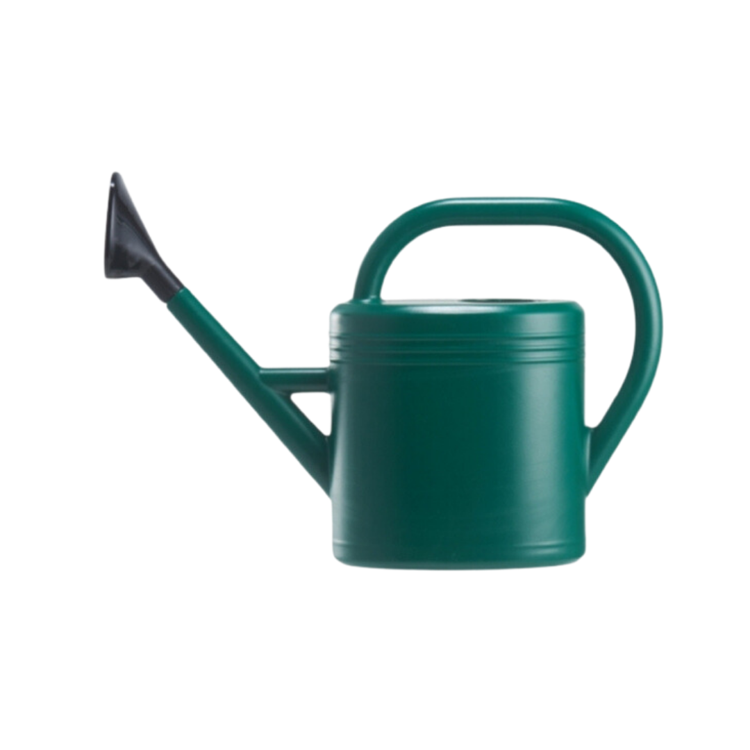 Handheld Watering Can with Sprinkler Head 3L By Plant Culture PH