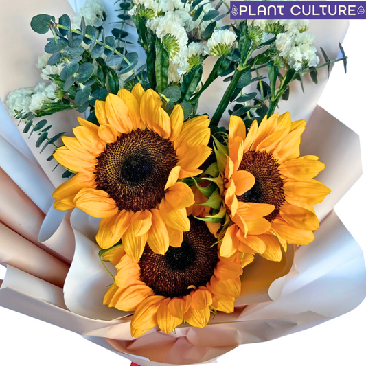 Janine Fresh Sunflower Bouquet Trio