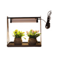 Mini Greenhouse Grow Lights