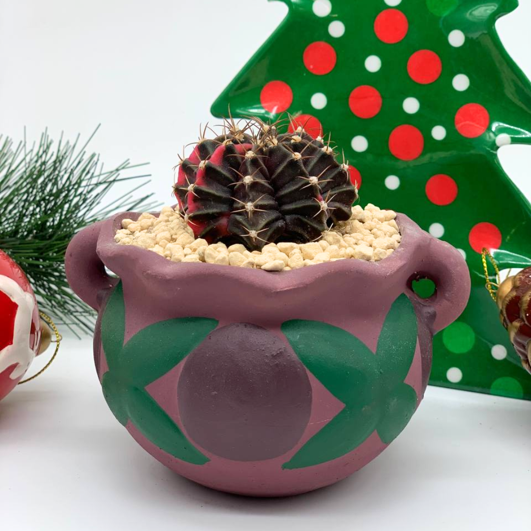 Christmas Pot of Joy