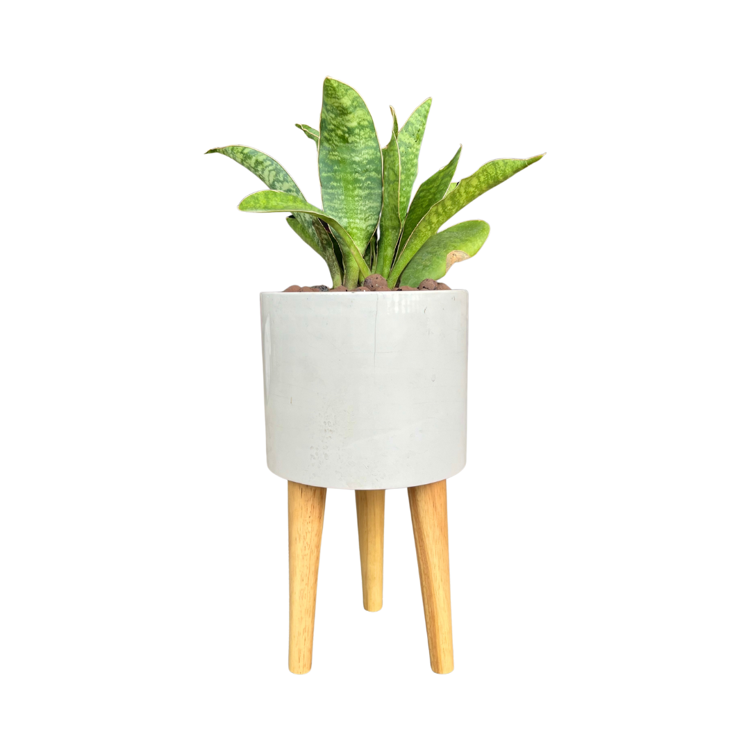 Elevated Planter with Wooden Stand | Ceramic Pots