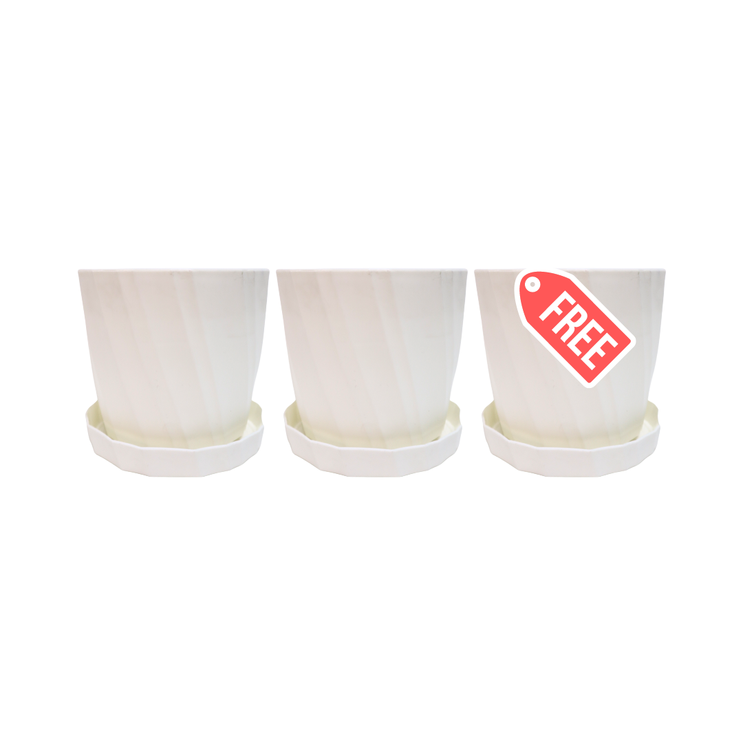 (BUY 2 GET 1 FREE) INS Style Planter with Catch Plate | Plastic Pots with Plant Saucer