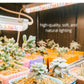 ADC LED Grow Lights by Plant Culture PH