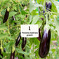 ADC LED Grow Lights by Plant Culture PH