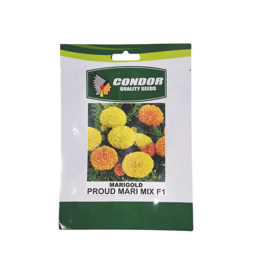 Marigold Proud Mari Mix F1 | Condor Quality Flower Seeds - 15 Seeds