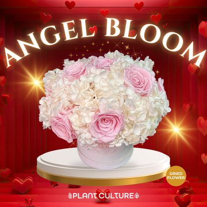 Angel Bloom Preserved Dried Flower Arrangement