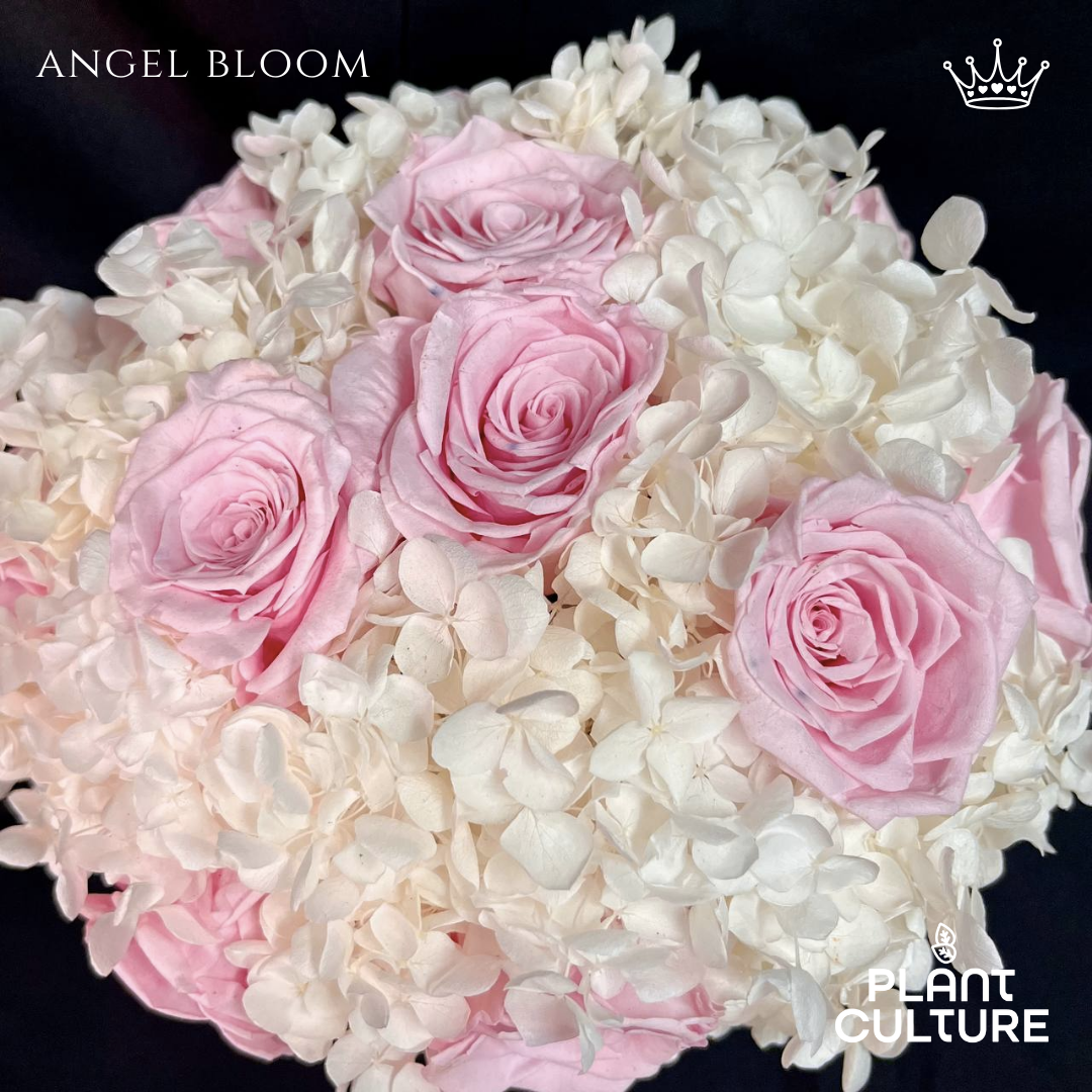 Angel Bloom Preserved Dried Flower Arrangement