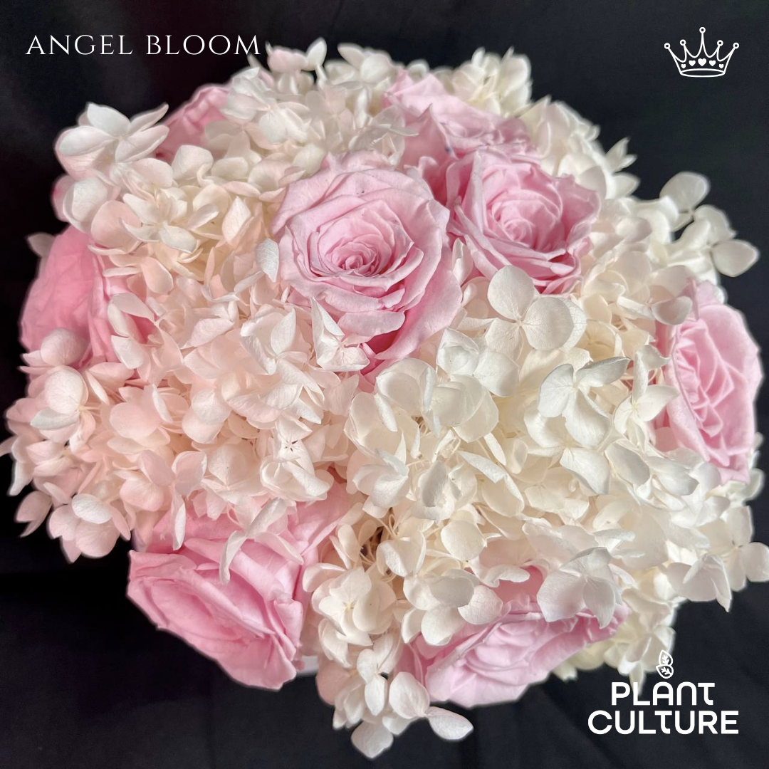 Angel Bloom Preserved Dried Flower Arrangement