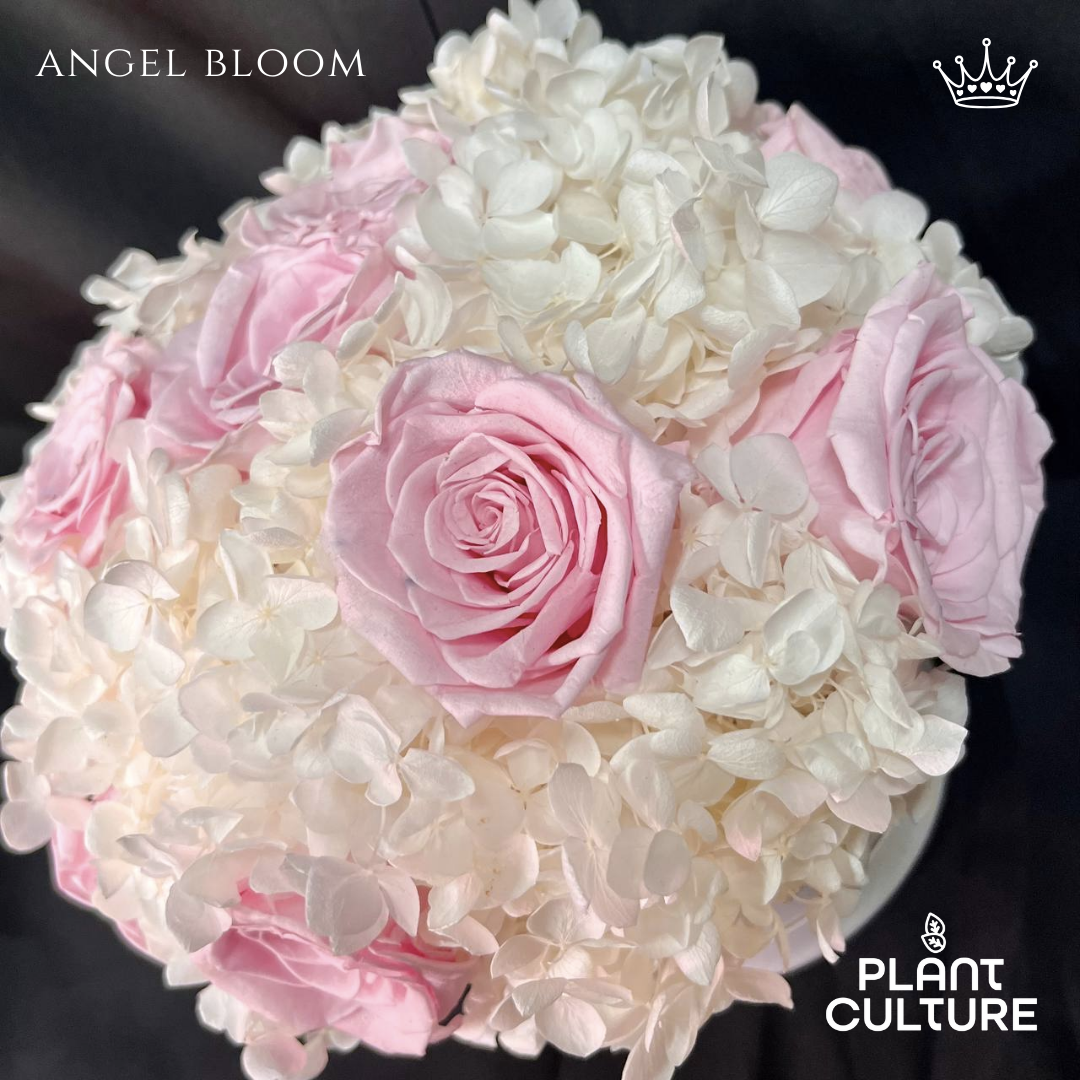 Angel Bloom Preserved Dried Flower Arrangement