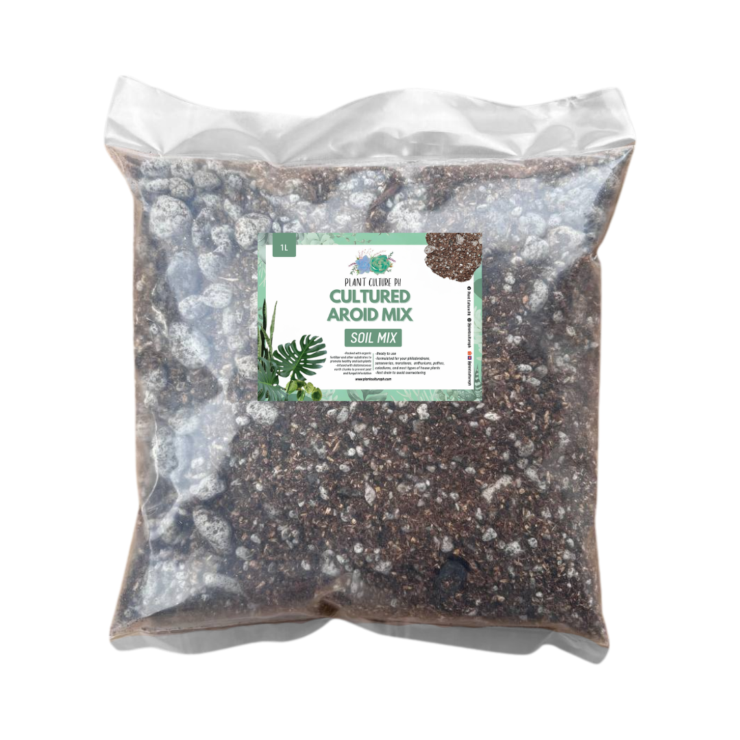 Cultured Aroid Mix 1L & 5L | Ready-to-Use Soil Mix