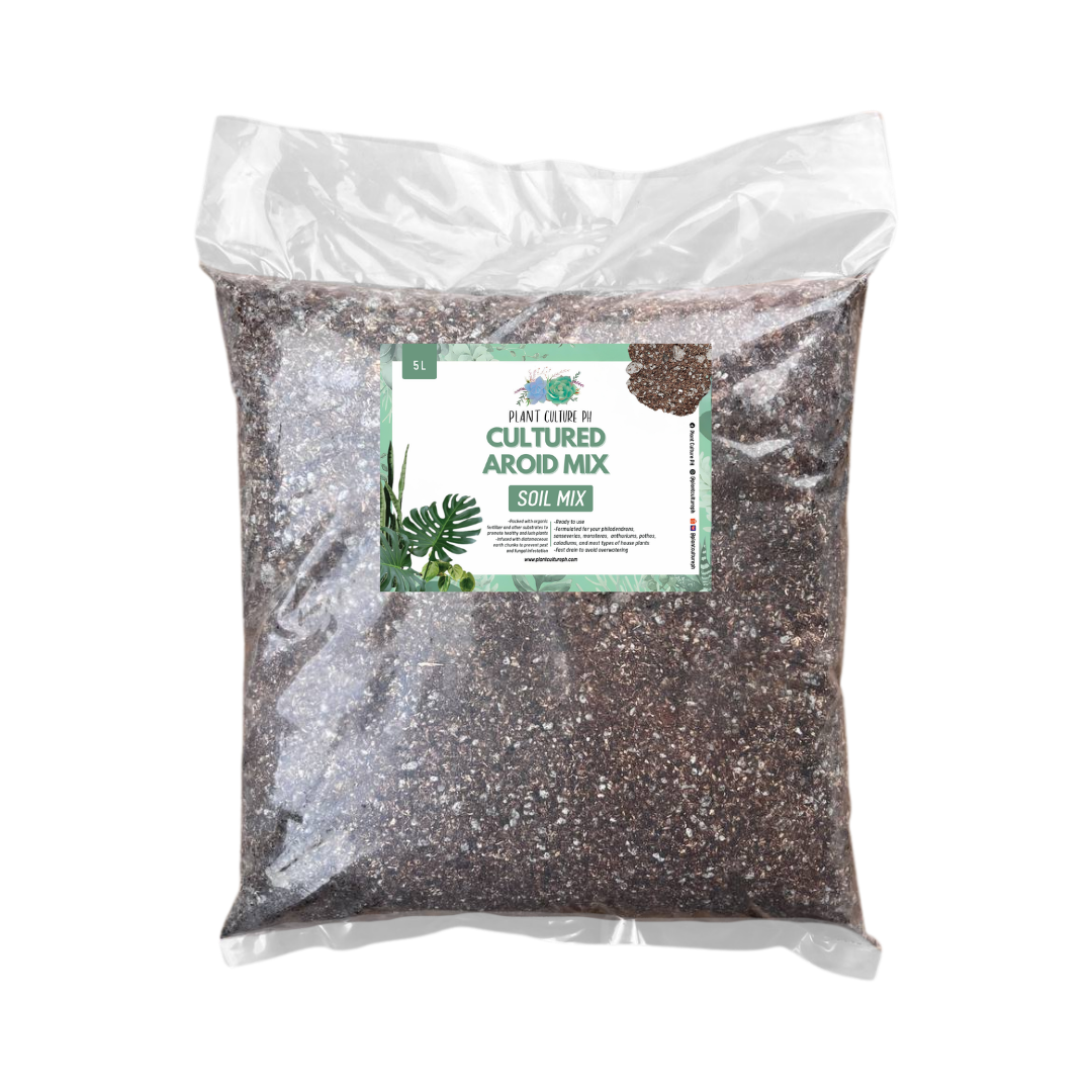 Cultured Aroid Mix 1L & 5L | Ready-to-Use Soil Mix