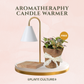 Gift Bundle | Fittonia + Lamps