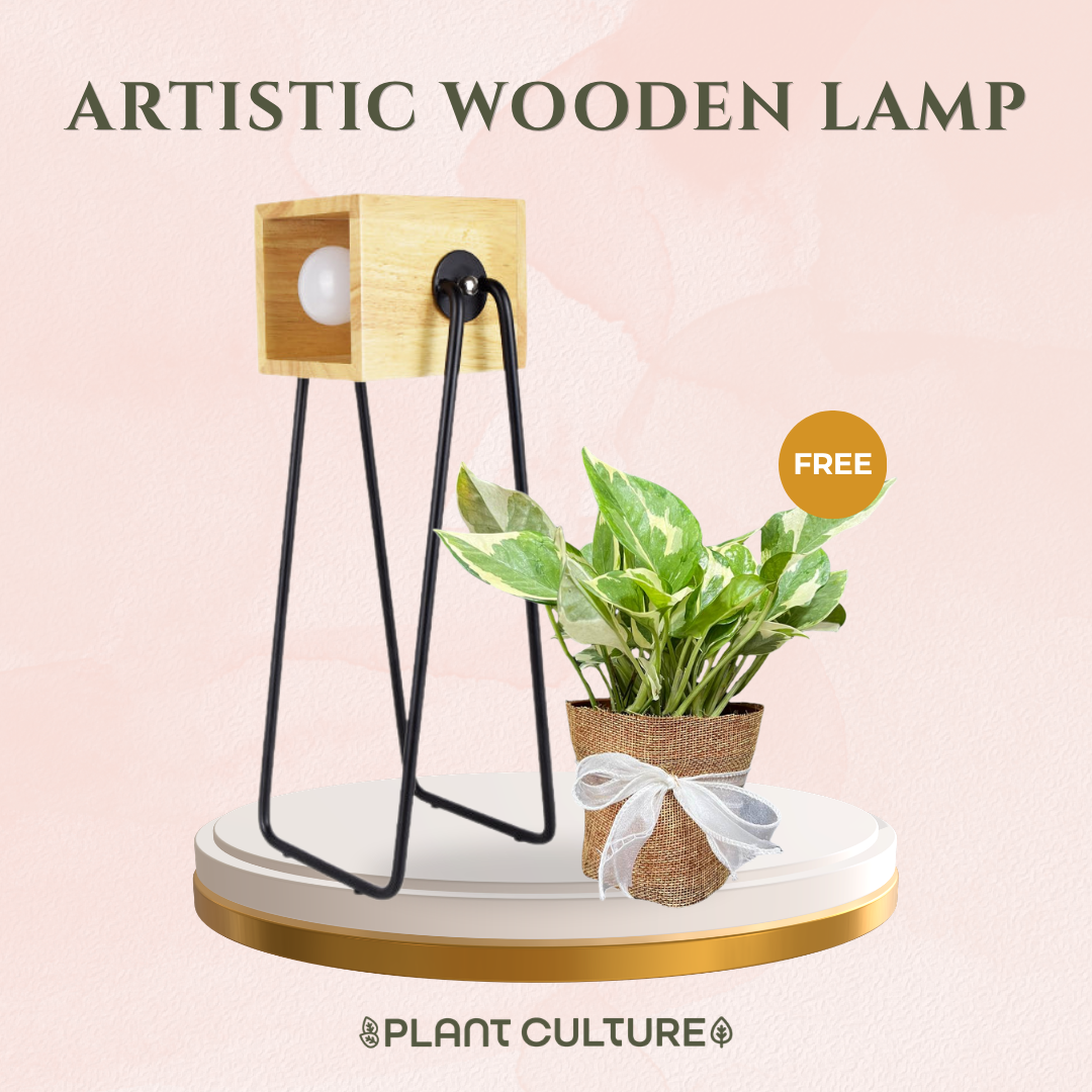 Gift Bundle | NJoy Pothos + Lamps