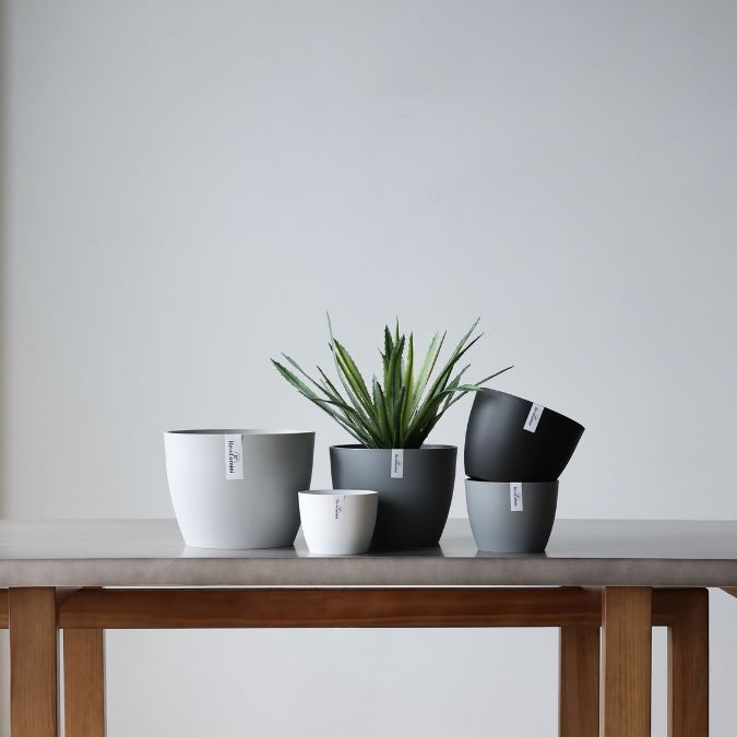 Plant Culture Urban Planter – B Series Classic Curve pot w/ Catch plate for Plants
