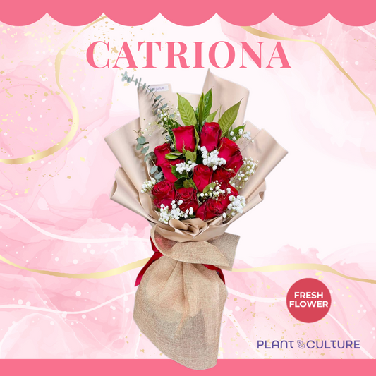 Catriona One Dozen Fresh Imported Red Roses Bouquet