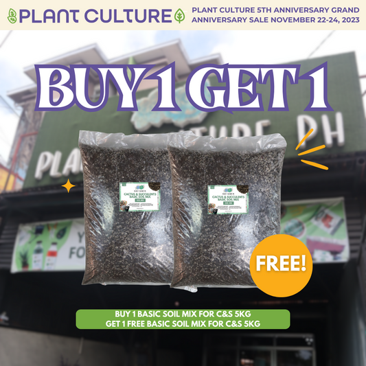 Buy 1 Basic Soil Mix for Cactus and Succulents 5kg Get 1 Free 5kg