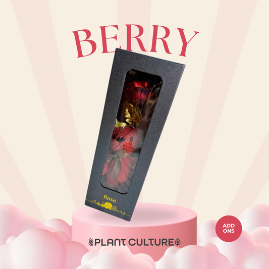 Berry Red Teddy Bear with Infinity Rose
