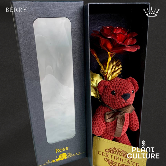Berry Red Teddy Bear with Infinity Rose