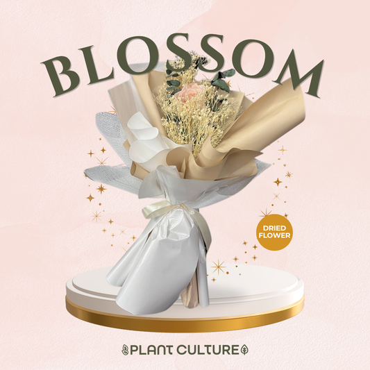 Mother's Day Dried Preserved Flower | Blossom