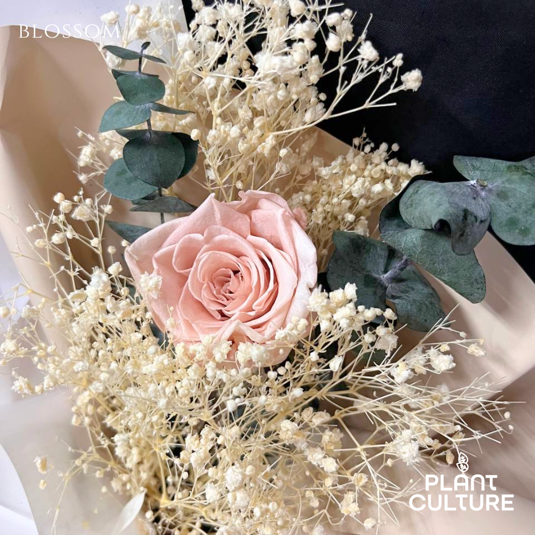 Mother's Day Dried Preserved Flower | Blossom