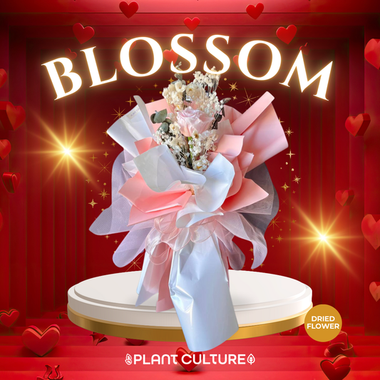 Blossom Preserved Pink Dried Flower Arrangement
