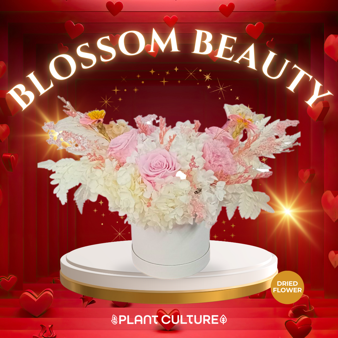 Blossom Beauty Preserved Dried Flower Arrangement