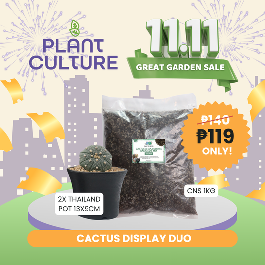 Bundle - Cactus Display Duo | 1kg CNS + 2pcs 13x9 Black Thailand Pot